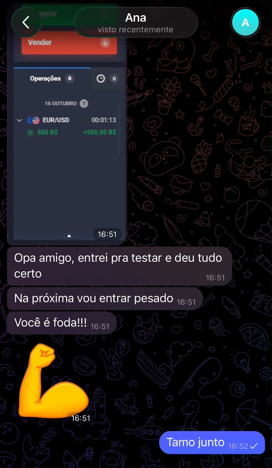 Captura de conversa com Ana